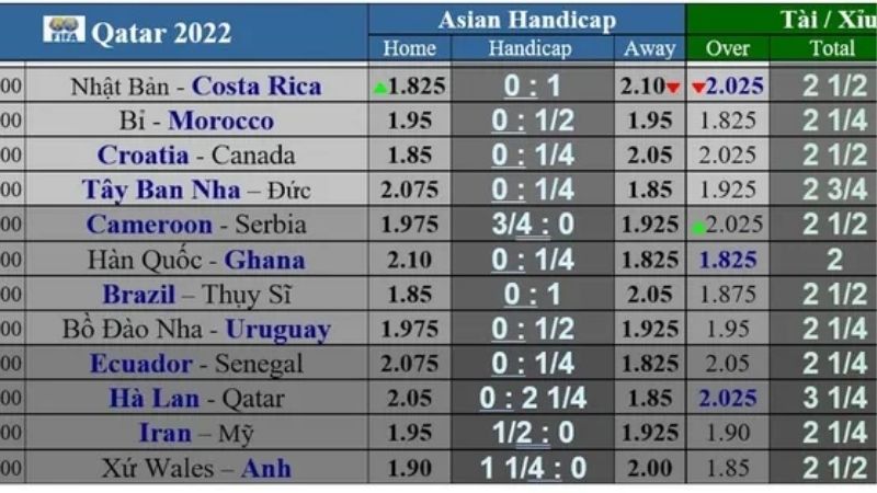 Tỷ lệ kèo Đức luôn hấp dẫn giới đam mê bóng đá